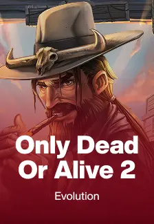 Dead or Alive 2